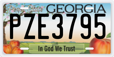 GA license plate PZE3795