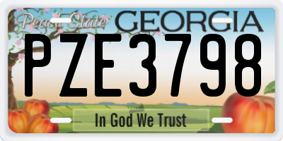 GA license plate PZE3798