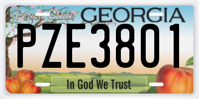 GA license plate PZE3801