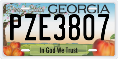 GA license plate PZE3807