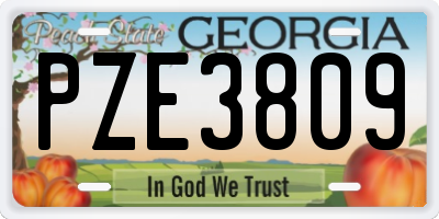 GA license plate PZE3809
