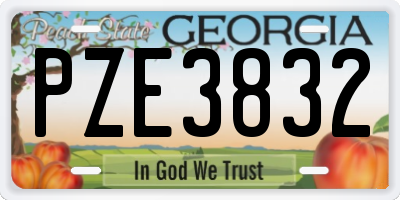 GA license plate PZE3832