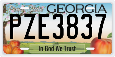 GA license plate PZE3837