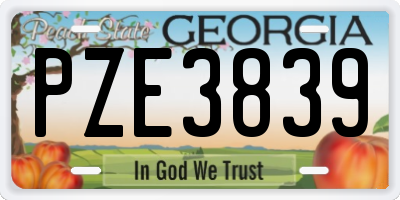 GA license plate PZE3839