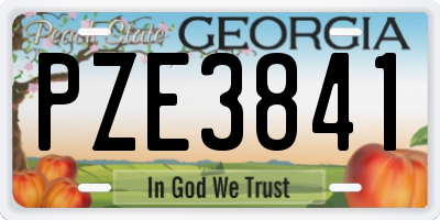 GA license plate PZE3841