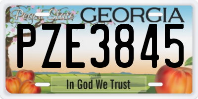 GA license plate PZE3845