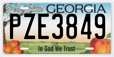 GA license plate PZE3849