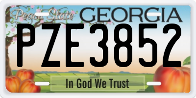 GA license plate PZE3852