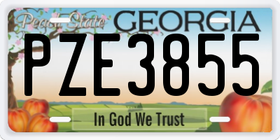 GA license plate PZE3855