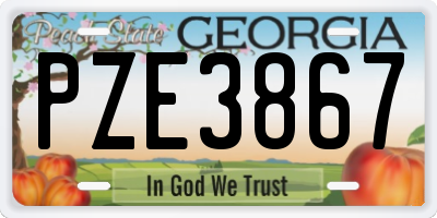 GA license plate PZE3867