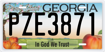 GA license plate PZE3871