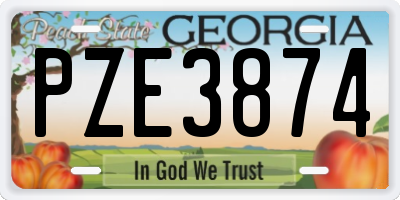 GA license plate PZE3874