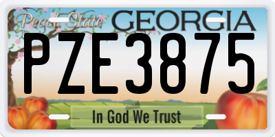 GA license plate PZE3875