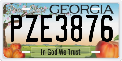 GA license plate PZE3876