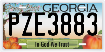 GA license plate PZE3883