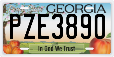 GA license plate PZE3890