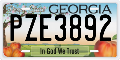 GA license plate PZE3892