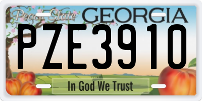 GA license plate PZE3910