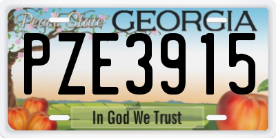GA license plate PZE3915