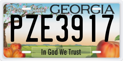 GA license plate PZE3917