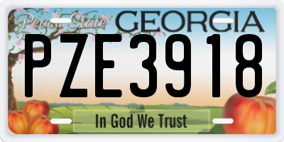 GA license plate PZE3918