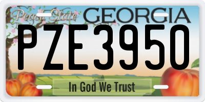 GA license plate PZE3950