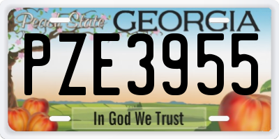 GA license plate PZE3955