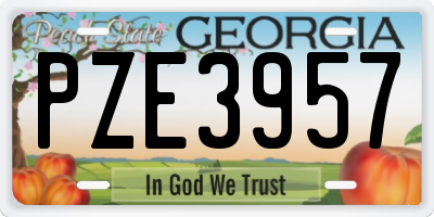 GA license plate PZE3957