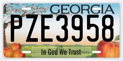 GA license plate PZE3958