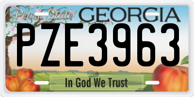 GA license plate PZE3963