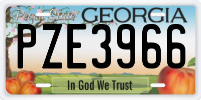 GA license plate PZE3966