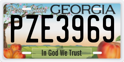 GA license plate PZE3969