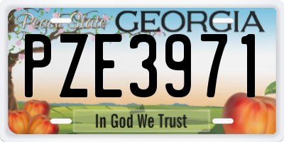 GA license plate PZE3971