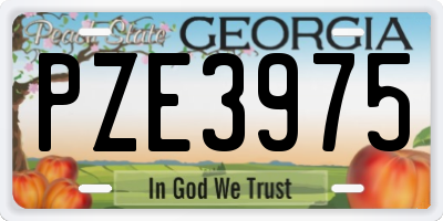 GA license plate PZE3975
