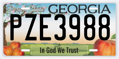 GA license plate PZE3988