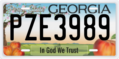 GA license plate PZE3989