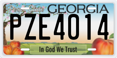 GA license plate PZE4014