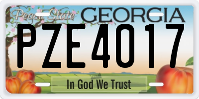GA license plate PZE4017