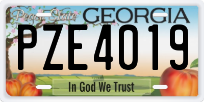 GA license plate PZE4019