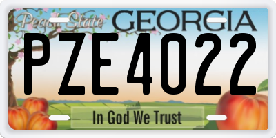 GA license plate PZE4022