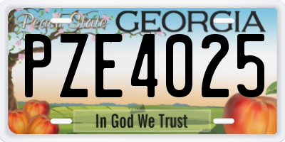 GA license plate PZE4025