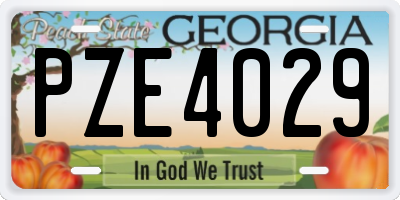 GA license plate PZE4029