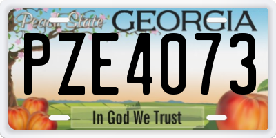 GA license plate PZE4073