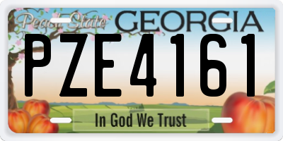 GA license plate PZE4161