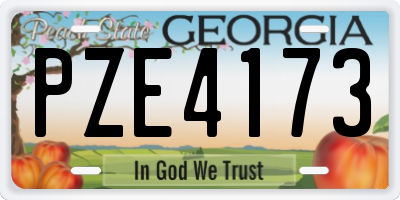 GA license plate PZE4173