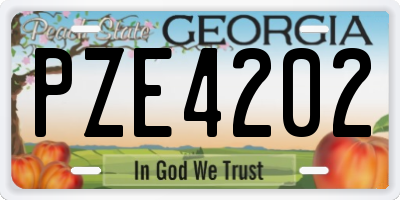 GA license plate PZE4202