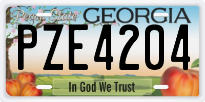 GA license plate PZE4204