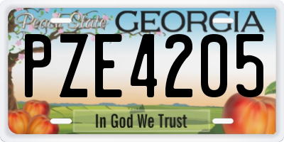 GA license plate PZE4205