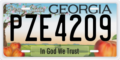 GA license plate PZE4209