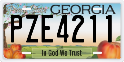 GA license plate PZE4211